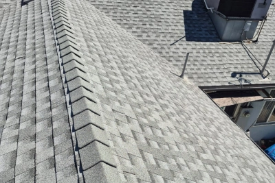 Example of a shingle roofing surface